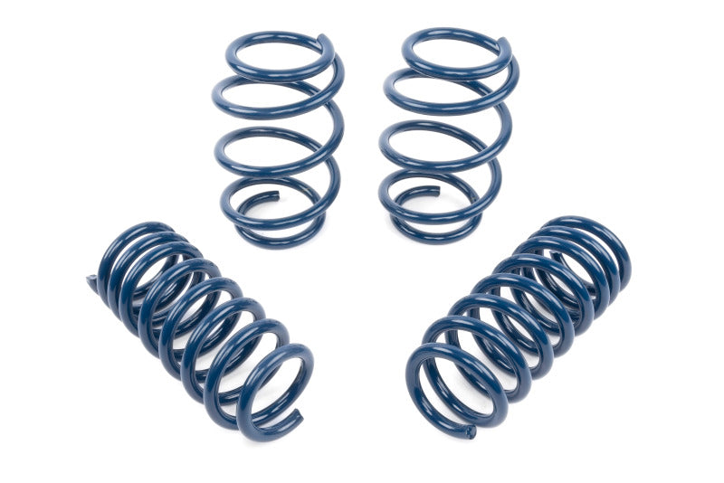 Dinan DNN Coil Springs Suspension Coilover Springs main image