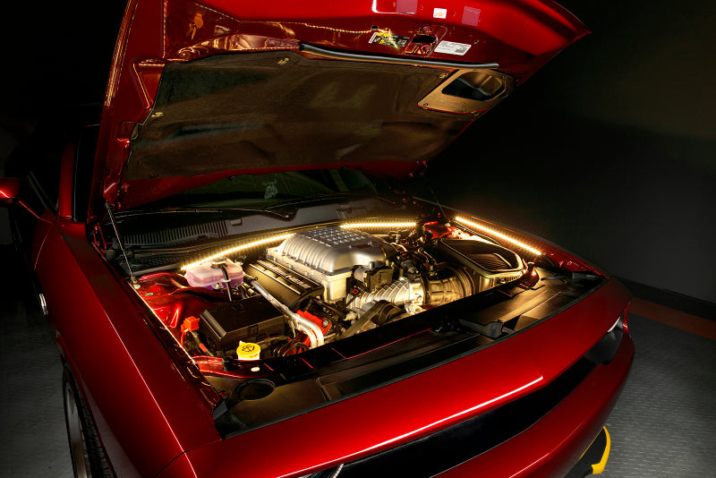 ORACLE Lighting Oracle Engine Bay 5050 SMD Kit - RGB ColorSHIFT 2704-333 2704-333 Photo - lifestyle view