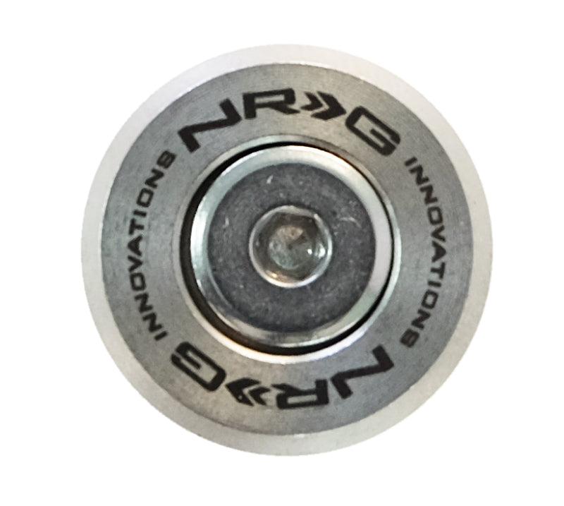 NRG M-Style Fender Washer Kit (TI Series) M6 Bolts For Plastic (Silver Wshr/Silver Scrw) - Set of 10 FW-300SS FW-300SS Photo - Primary