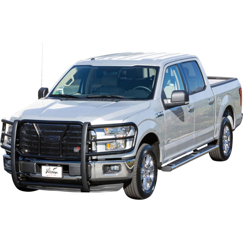 Westin Premier 6 in Oval Side Bar - Stainless Steel 75 in - Stainless Steel 22-6020 22-6020 Photo - Mounted