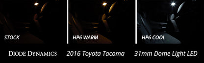 Diode Dynamics 31mm HP6 LED Bulb LED - Cool - White (Single) DD0299S DD0299S User 1