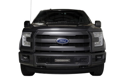 Putco 2015-2017, Ford F150 - Stainless Steel Black Punch Design w/ 10" 88160L Photo - Mounted