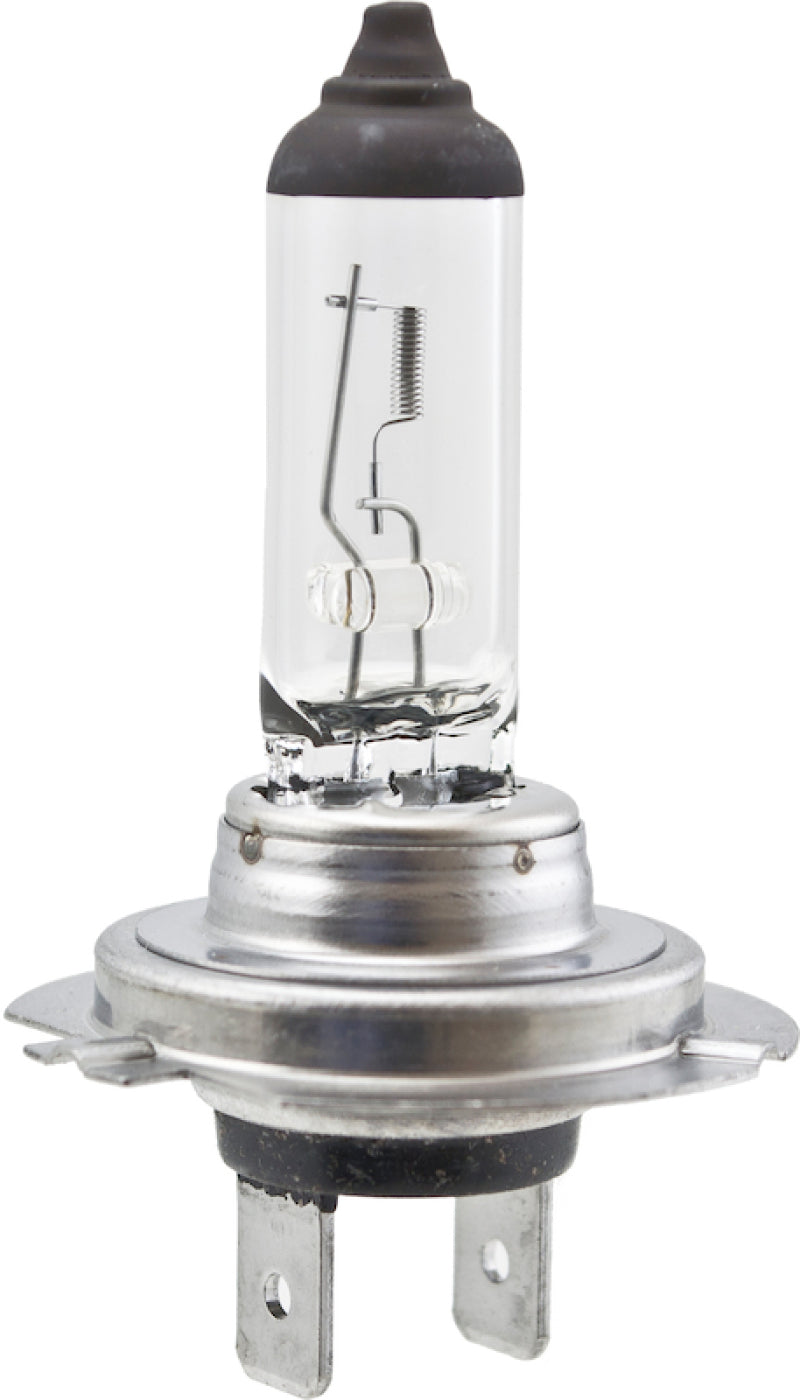 Hella High Wattage Bulb H7 12V 100W PX26d T4.6 H7 100W H7 100W Photo - Primary