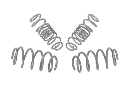 Whiteline Coil Springs - Lowered WSK-FRD002 Photo - out of package