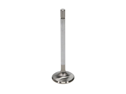 Manley Ford 4.6L/5.4L SOHC (2 Valve) 96-98 w/Bead Loc Groove 36mm Race Master Exhaust Valve - Single 11637B-1 11637B-1 User 2