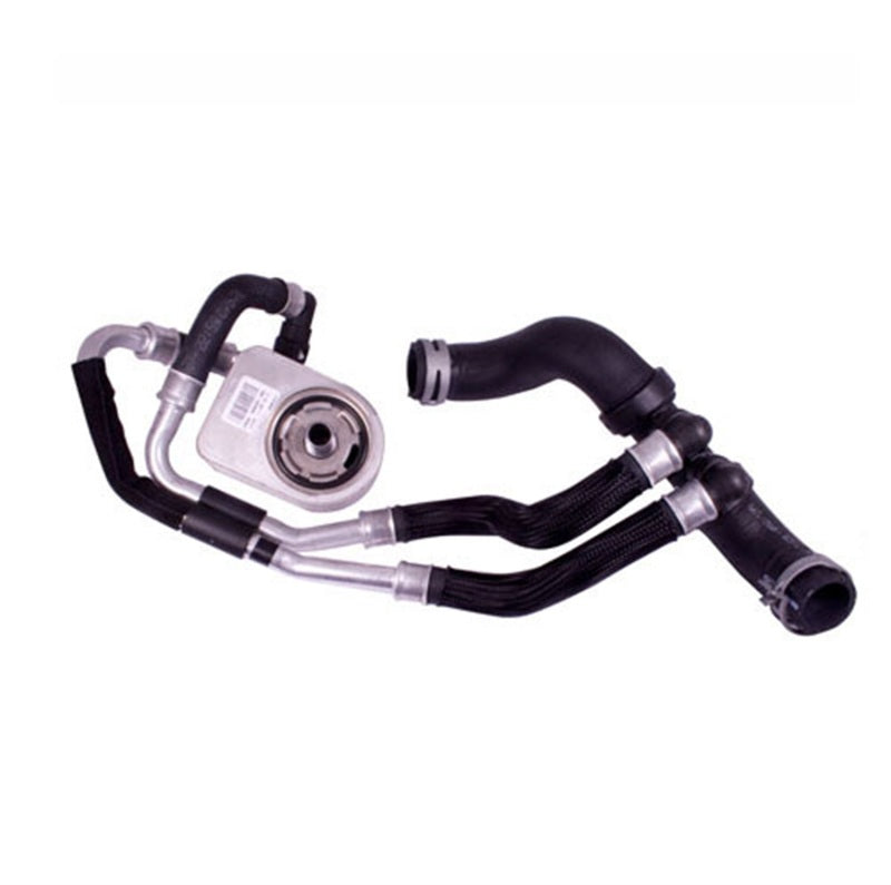 Ford Performance Parts Ford Racing Mustang BOSS 302 Engine Oil Cooler M-6642-MB Photo - Primary