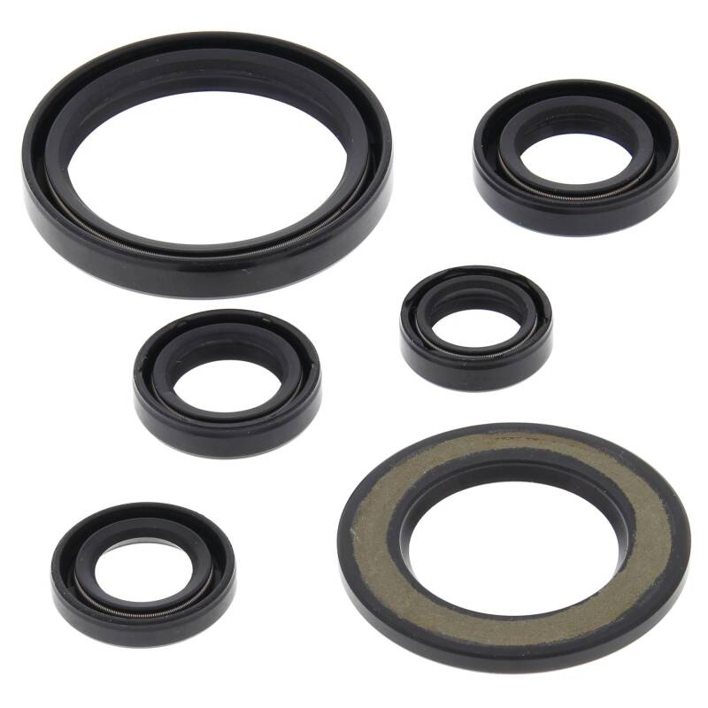 Vertex Pistons Vertex Gaskets 06-23 Yamaha YFM700R Raptor Oil Seal Kit 822338 822338 Photo - Primary