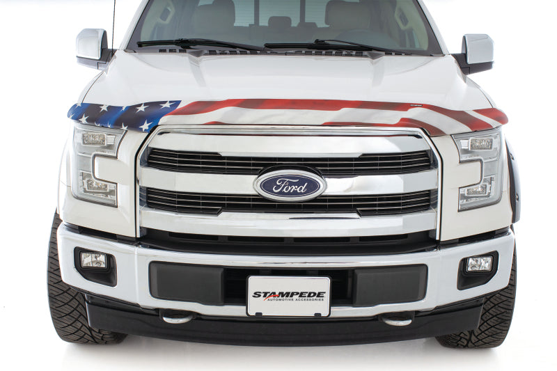 Stampede Vigilante Premium Hood Protector,American Flag,For 2015-2019 Ford 2153-41 Photo - Mounted