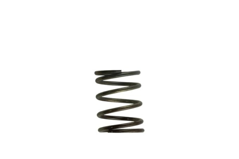 Turbosmart WG40 5PSI Inner Spring Brown/Grey TS-0505-2002 Photo - Primary