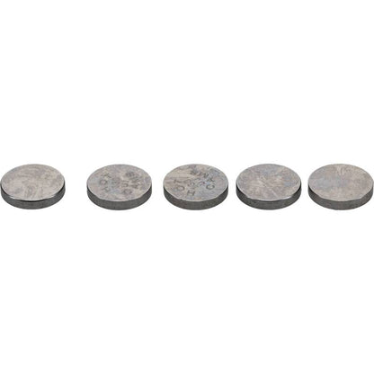 Hot Cams 07-16 CRF 150 R/2016 CRF 150 RB Big Wheel 1.300mm Shim Kit - 5 Pack 5PK748130 5PK748130 Photo - Primary