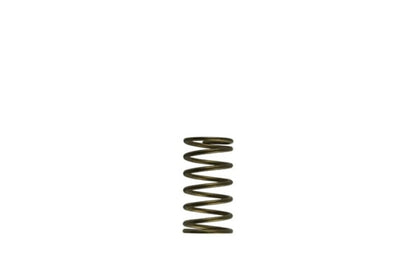 Turbosmart WG60 Gen-V 3psi Inner Spring TS-0550-3089 TS-0550-3089 Photo - Primary