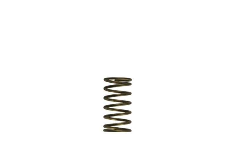 Turbosmart WG60 Gen-V 3psi Inner Spring TS-0550-3089 TS-0550-3089 Photo - Primary