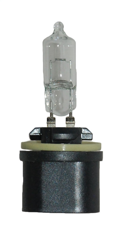 Hella Bulb 890 12V 27W Pg13 T325 890 890 Photo - Primary