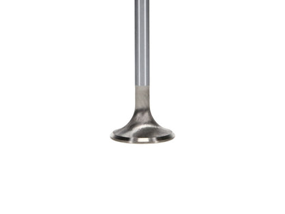 Manley Ford Coyote 5.0L DOHC 4 Valve 31mm Triple Groove Race Master Exhaust Valves (Set of 8) 11623-8 11623-8 User 3