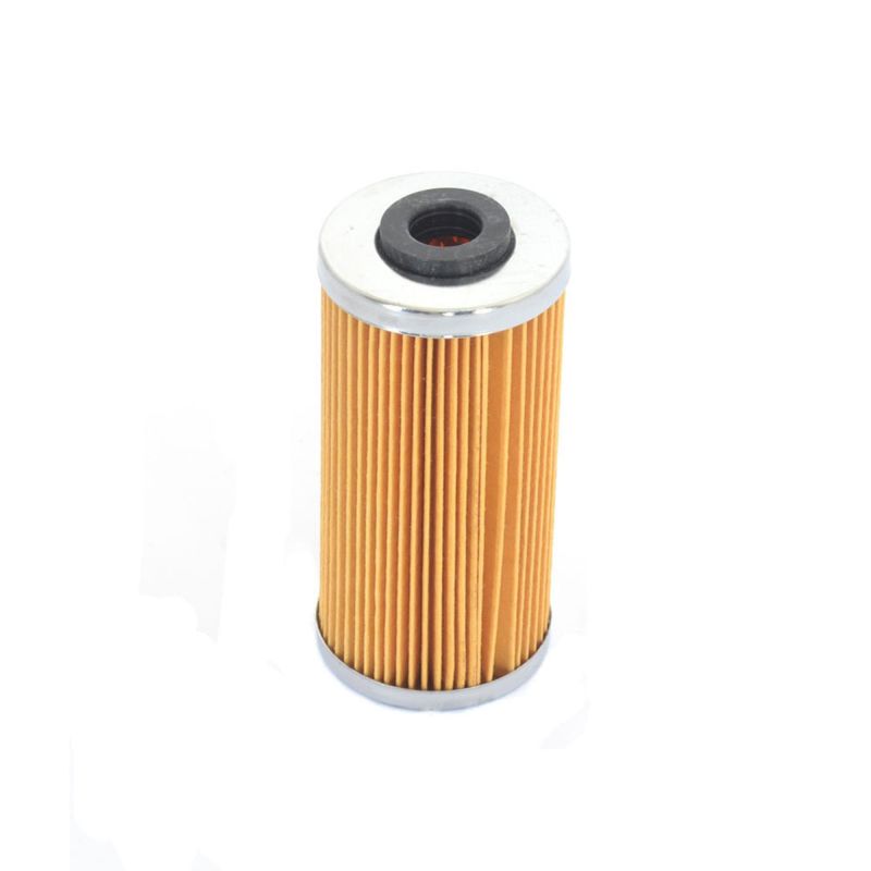 Athena 09-10 BMW G 450 X 450 Oil Filter FFC047 FFC047 Photo - Primary