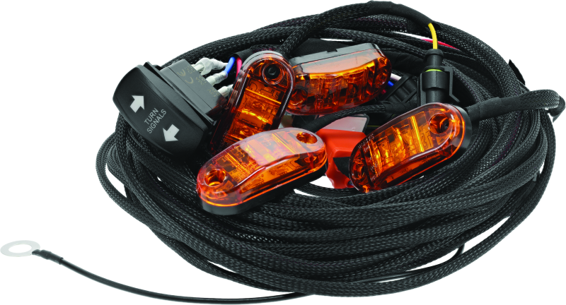 DragonFire Racing Whip Harness 4 Seat Dual 522043 522043 Photo - Primary