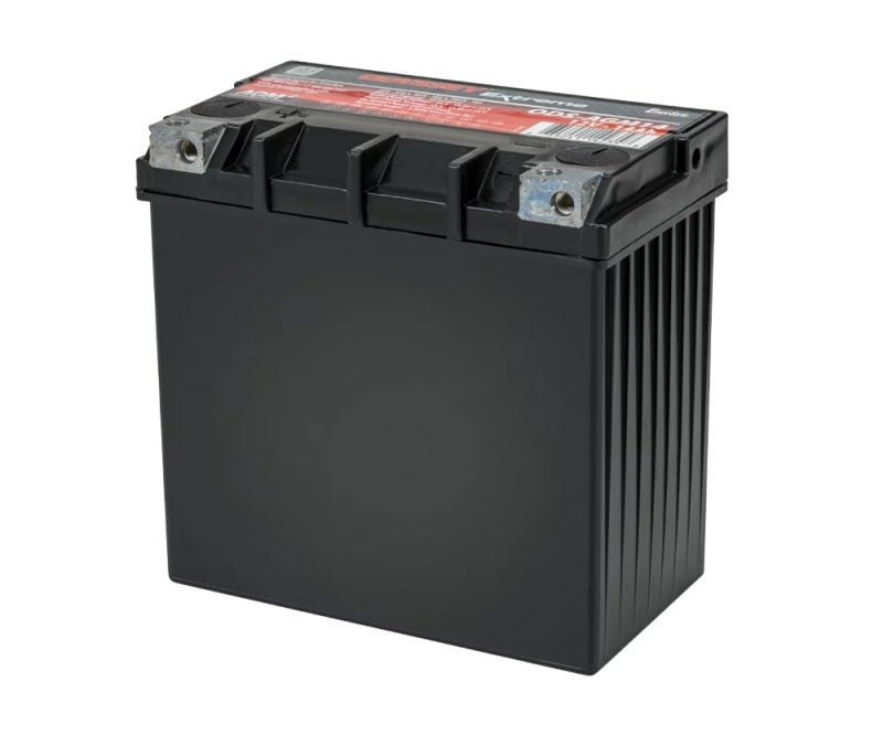 Odyssey Battery Powersport Extreme AGM Battery ODS-AGM14 ODS-AGM14 User 1
