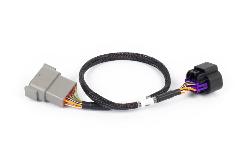 Haltech NEXUS Rebel LS 8-Pin DBW Adaptor (Plug-n-Play w/HT-186500) HT-186506 HT-186506 User 1