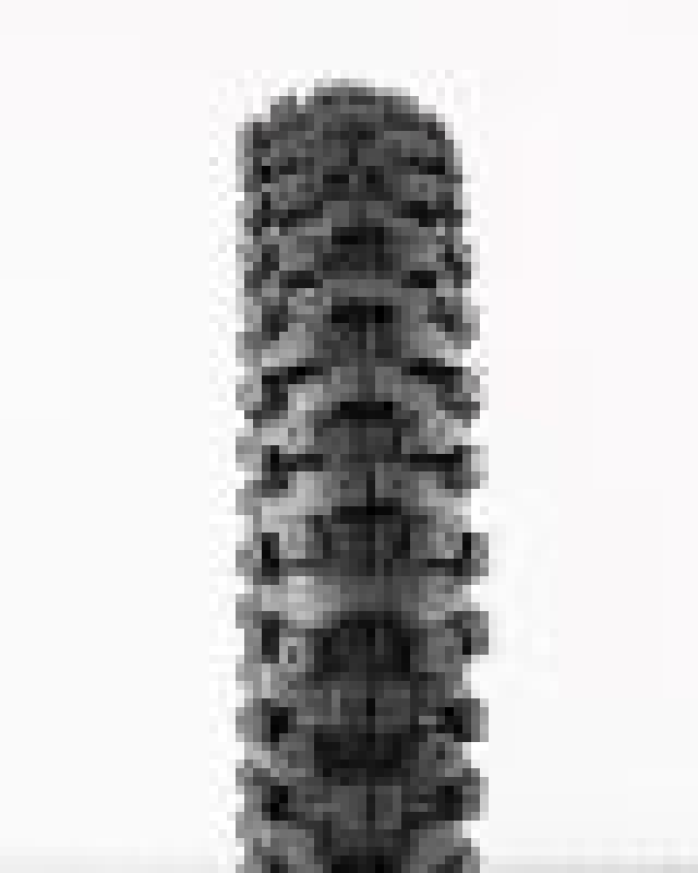 ProTaper MXT 04 Front Tire 70/100-19 023318 023318 User 1
