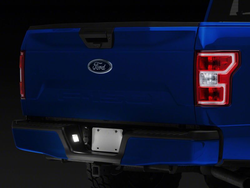 Raxiom 15-23 Ford F-150 Axial Series LED License Plate Lamps T542565 T542565 Photo - Close Up