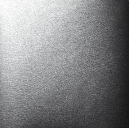 Covercraft Heat Shield 2010-2018 Dodge Ram UV11150SV Photo - Close Up