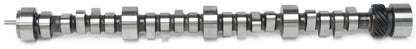 Edelbrock SBC LT-1 Roller Cam 2108 Photo - Primary