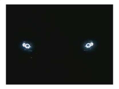 Spyder Dodge Dakota 97-04/Durango 98-03 1PC Projector Headlights LED Halo LED Chrm PRO-YD-DDAK97-C 5009791 5009791 Photo - Unmounted