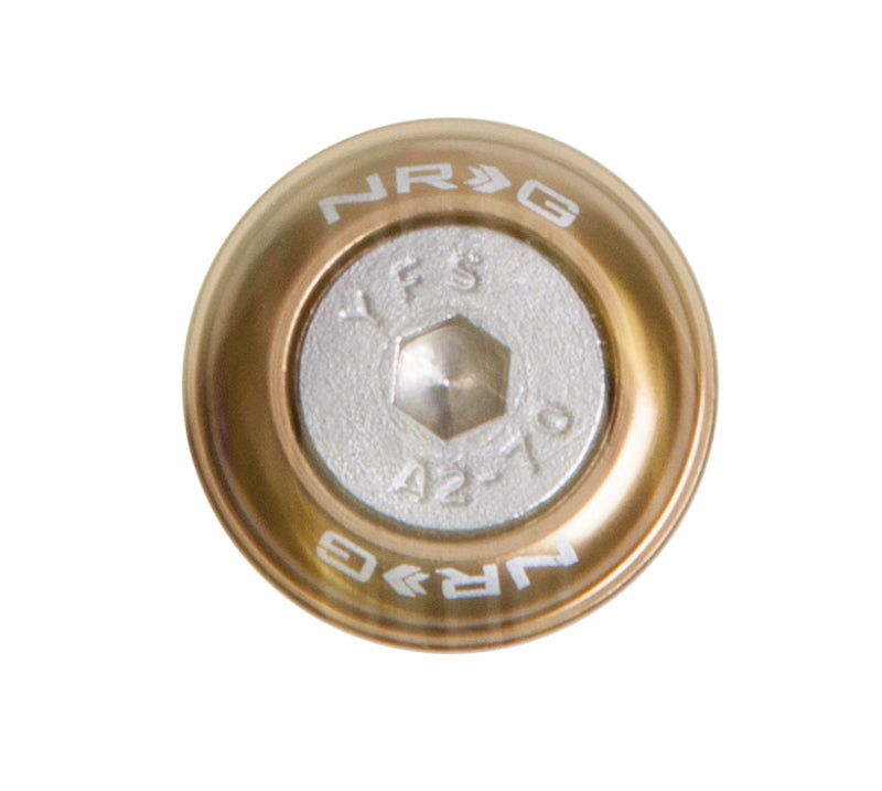 NRG Fender Washer Kit w/Rivets For Metal (Titanium) - Set of 10 FW-110TI FW-110Ti Photo - Primary