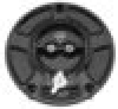 Vortex Racing V3 Fuel Cap Hon - Blk GC210K GC210K User 1