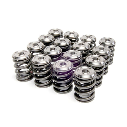 Skunk2 Alpha Titanium Valve Spring & Retainer Kit Honda B Series 344-05-1300 Photo - Primary
