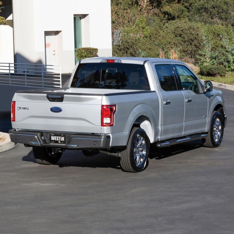 Westin 2015-2018 Ford F-150 Reg/SuperCab/SuperCrew Premier Oval Nerf Step Bar Mount Kit - Black 22-2055 22-2055 Photo - Mounted