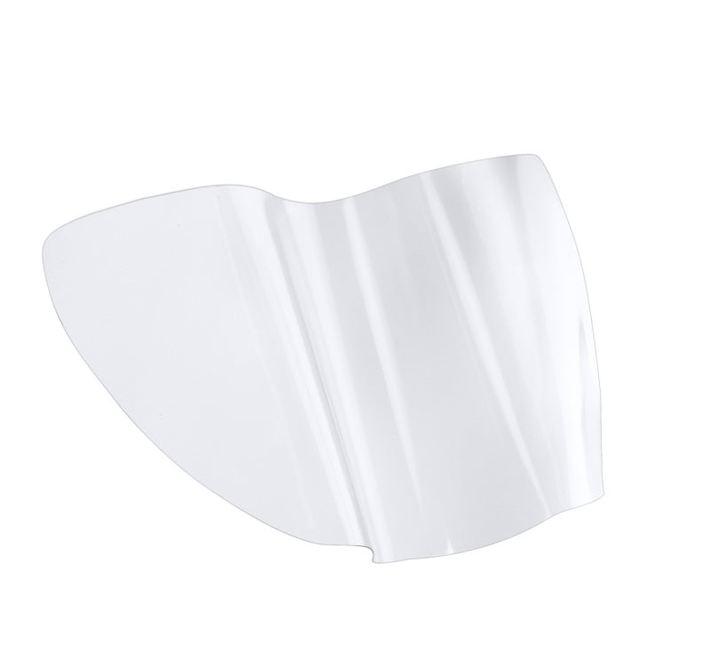 WeatherTech 16-17 Lexus GS Lampguards LG1002 LG1002 Photo - Primary