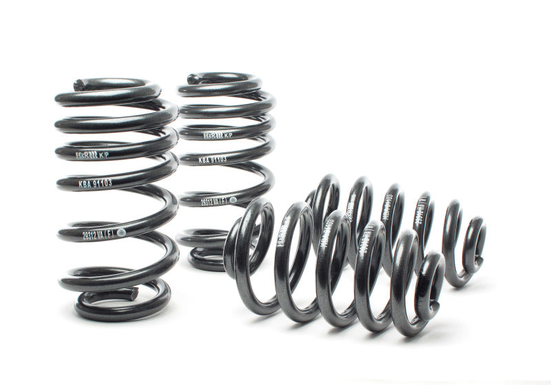 H&R Sport Springs Audi RS4 2007-2008 50300 Photo - Primary