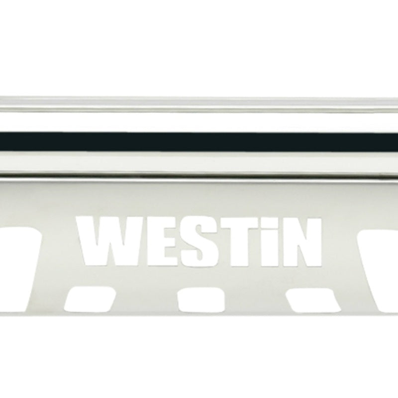 Westin 2004-2008 Ford F-150 E-Series Bull Bar - SS 31-5390 31-5390 Photo - Unmounted