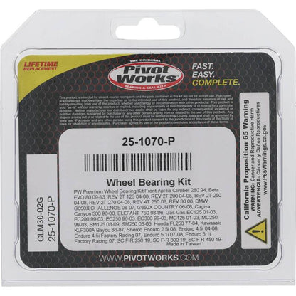 Pivot Works Aprilia/Beta/BMW/Cagiva/Gas-Gas/Honda/Kawasaki/Sherco Wheel Bearing Kit Premium Bearings 25-1070-P 25-1070-P Photo - Primary