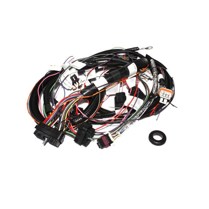 FAST Fuel Injection Harness 301972 Photo - Primary