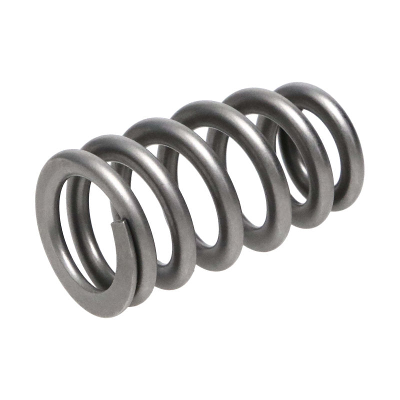 Manley Chrysler Hemi 6.4L NexTek Series High Performance Valve Springs .650 Max Lift 221439-16 221439-16 Photo - out of package