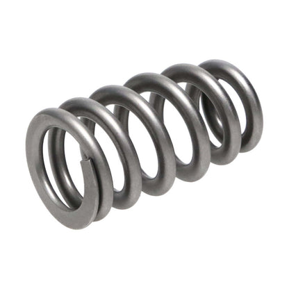 Manley Chrysler Hemi 6.4L NexTek Series High Performance Valve Springs .650 Max Lift 221439-16 221439-16 Photo - out of package