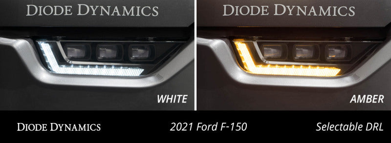 Diode Dynamics 21-23 Ford F-150 Elite Fog Lamps - White DD5169 DD5169 User 6