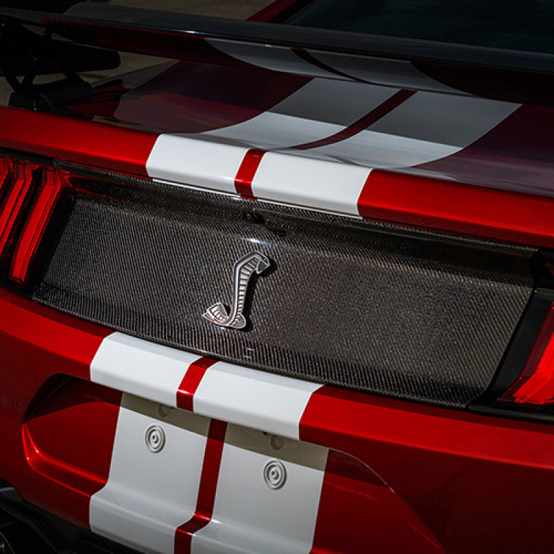 Ford Racing 20-21 Mustang GT500 Deck Lid Trim Panel M-16600-MCF M-16600-MCF User 1