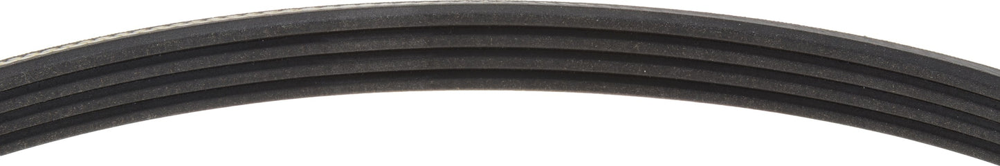 Mitsuboshi Accessory Drive Belt 4PK1000