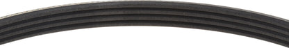 Mitsuboshi Accessory Drive Belt 4PK1000