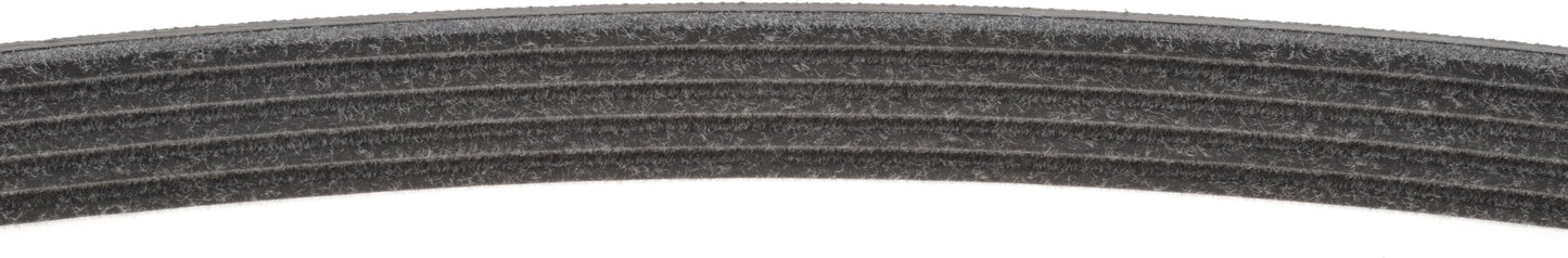Mitsuboshi Accessory Drive Belt 5PK1010