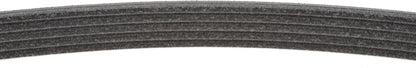 Mitsuboshi Accessory Drive Belt 5PK877