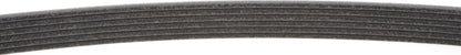Mitsuboshi Serpentine Belt