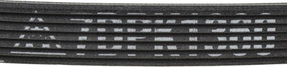 Mitsuboshi Accessory Drive Belt 7DPK1360