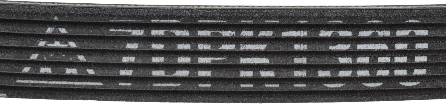 Mitsuboshi Accessory Drive Belt 7DPK1360