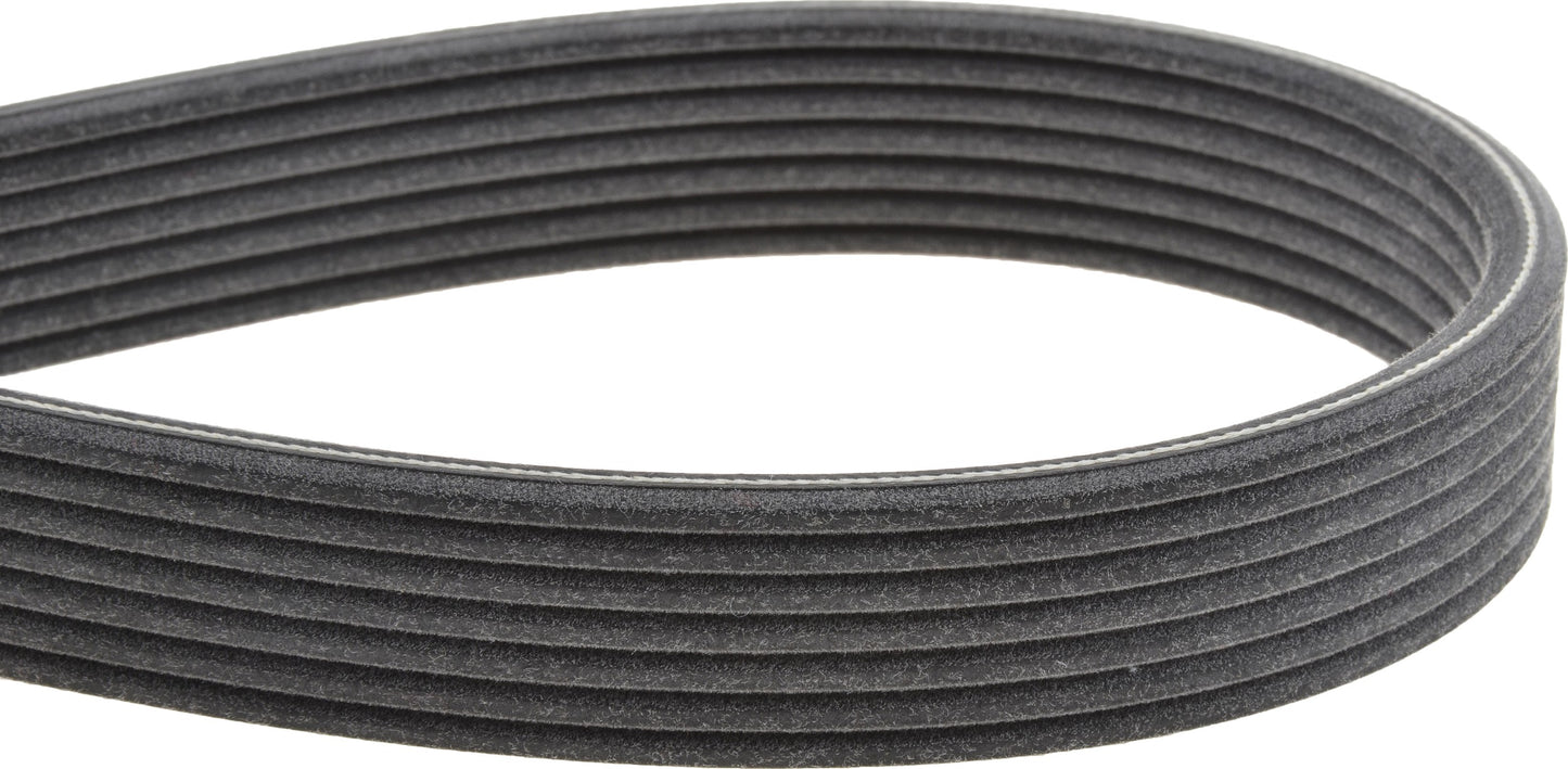 Mitsuboshi Accessory Drive Belt 7DPK1360