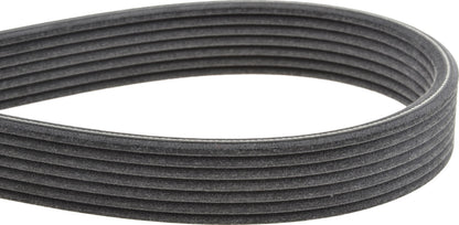 Mitsuboshi Accessory Drive Belt 7DPK1360