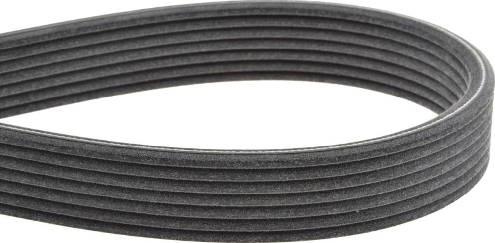 Mitsuboshi Accessory Drive Belt 7DPK1395